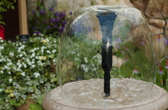 花フェスタ　２０１２−２０