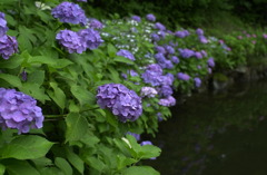 みのかもの森３