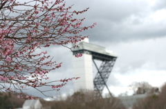 花フェスタ　２０１２−３４