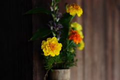 大正村の民家で