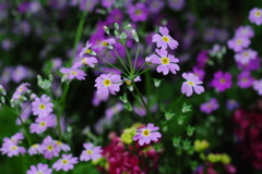 アクアトト　６