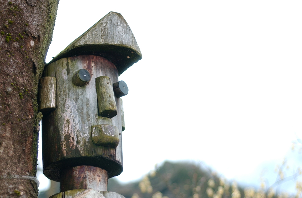 花フェスタ２０１２−３７