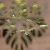 永保寺１７