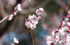 アクアトト　５