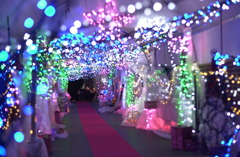 花フェスタ公園４