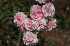 木曽三川公園　２