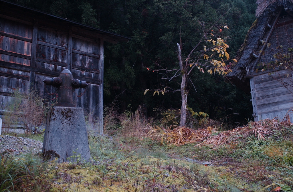白川郷　１