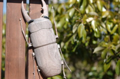 アクアトト　２