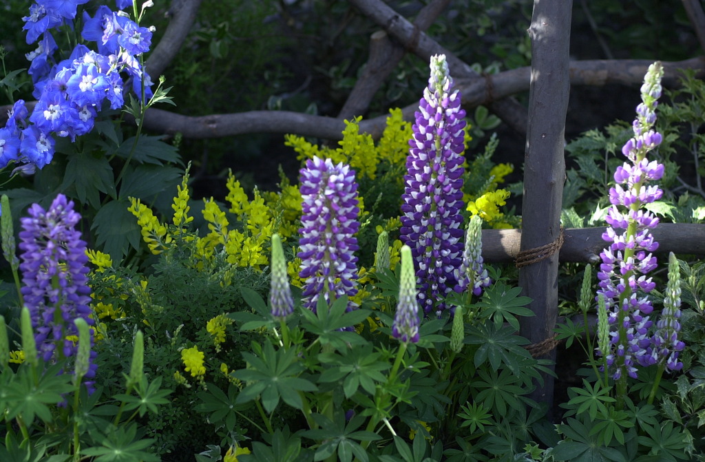 春日井植物園１３