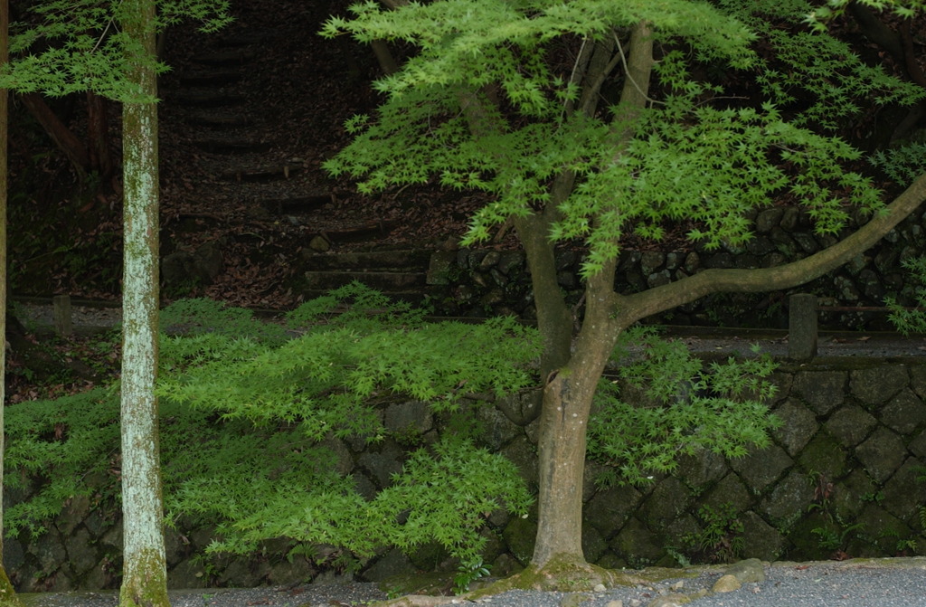 永保寺１４