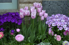 春日井植物園３