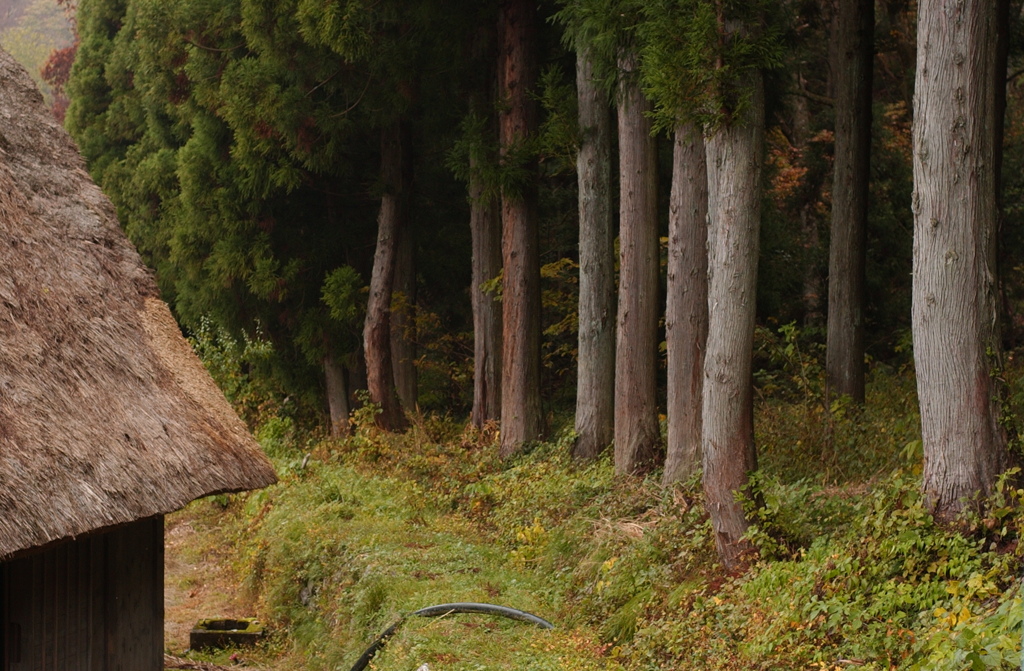 白川郷　１３
