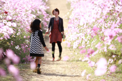 秋の桜につつまれて