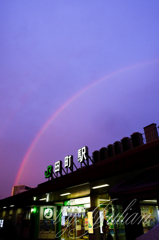 虹