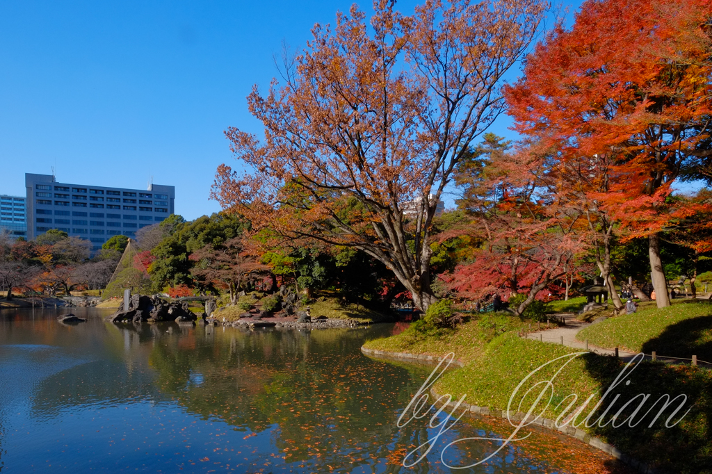 小石川後楽園の紅葉