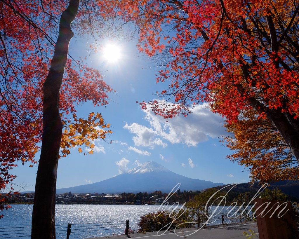 富士山と紅葉