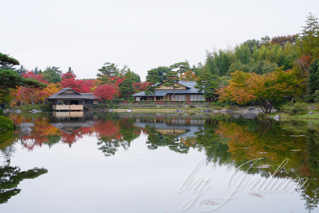 昭和記念公園の紅葉