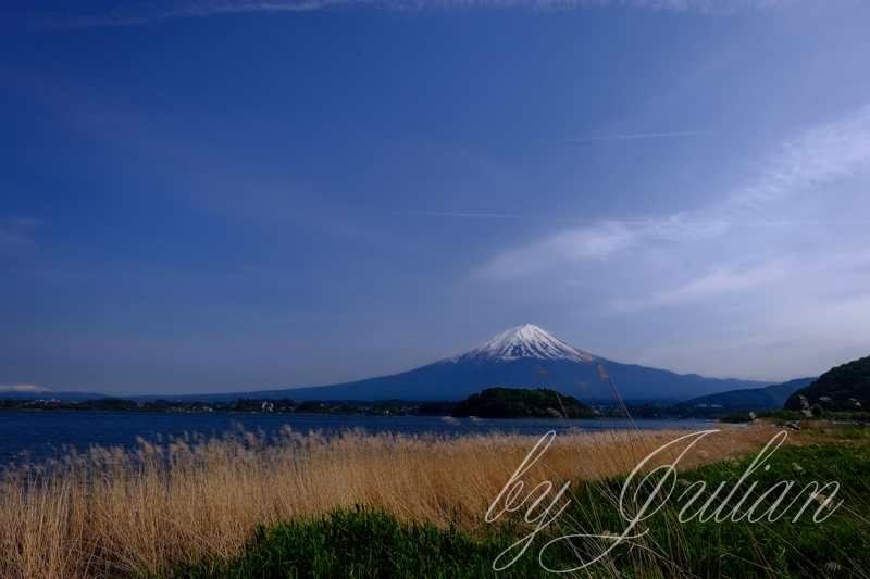 河口湖と富士山