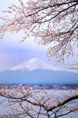 富士と桜