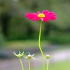 DSCF5905
