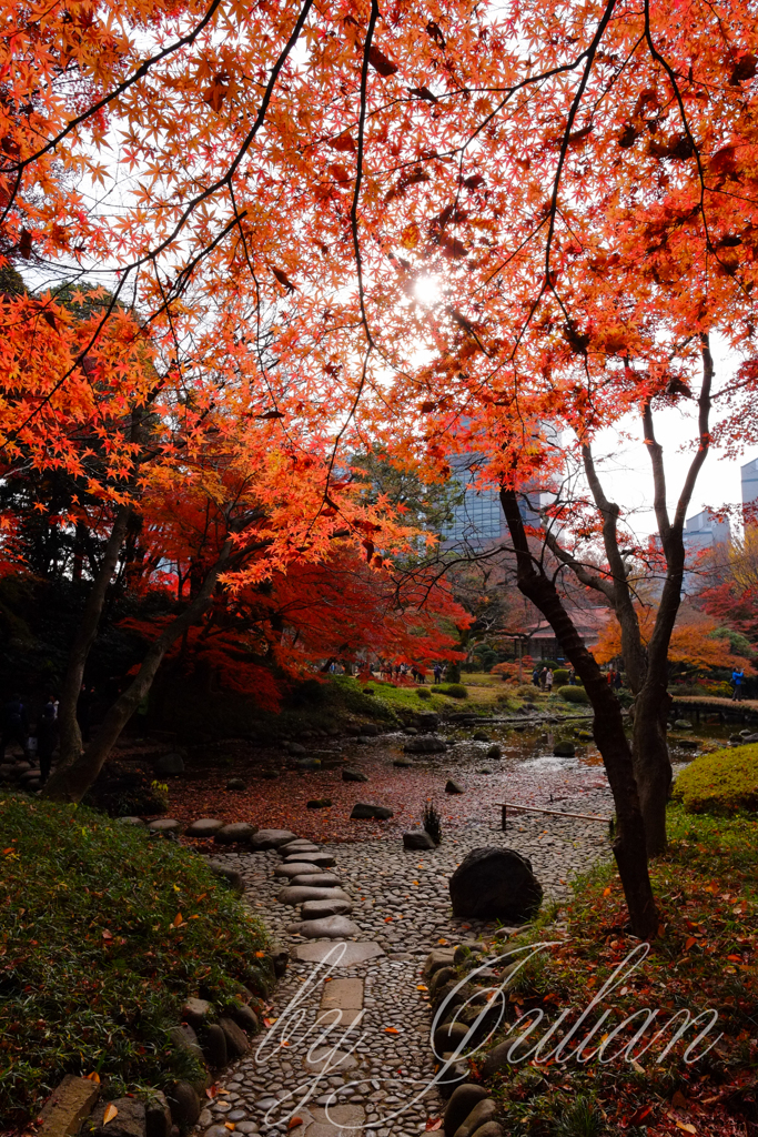 小石川後楽園にて