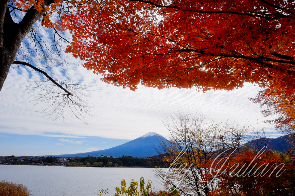 紅葉ツーリング 河口湖　紅葉トンネルにて