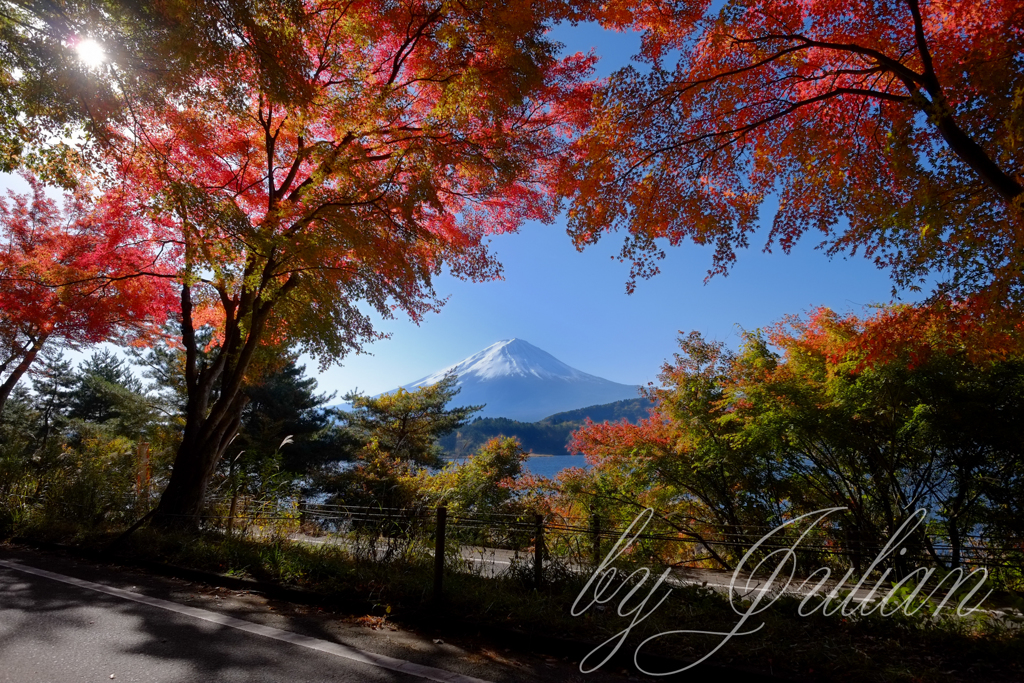 紅葉と富士山