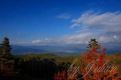 五合目付近の紅葉