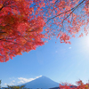 河口湖にて