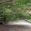 DSCF5853