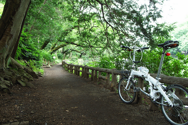 9163016649_33f9d85bcd_c