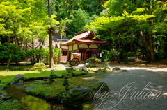 上賀茂神社にて