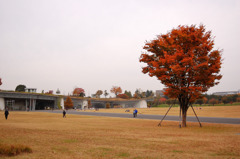 DSC_8403