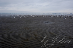 ふなばし三番瀬海浜公園