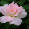 DSCF5821