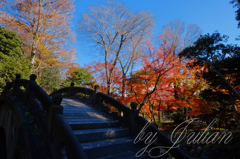 小石川後楽園の紅葉