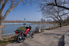 水元公園