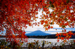 紅葉ツーリング 河口湖　紅葉トンネルにて