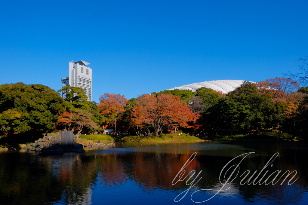 小石川後楽園の紅葉