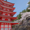 新倉山浅間公園にて