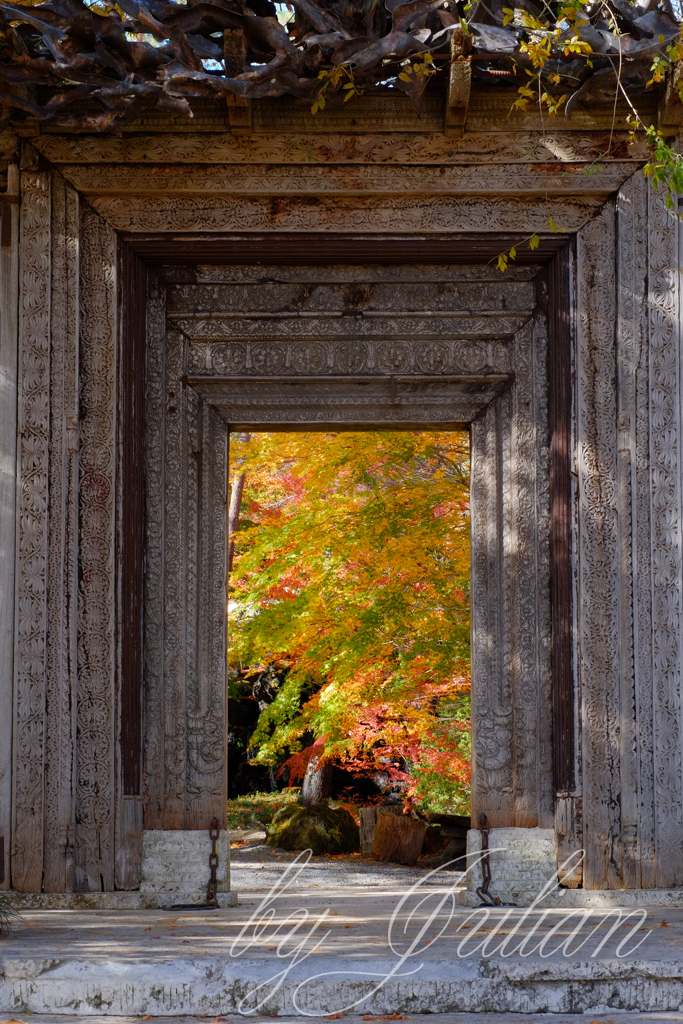 富士山と紅葉