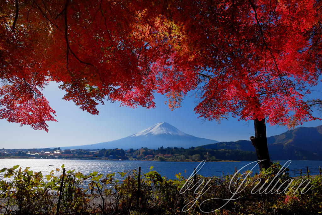 紅葉と富士山