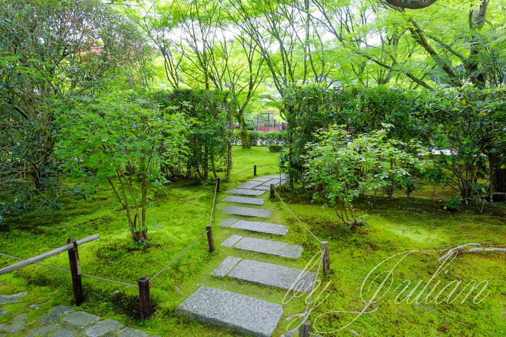 苔寺にて