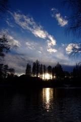 吉祥寺にて