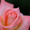 DSCF5788