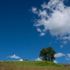 DSCF6862