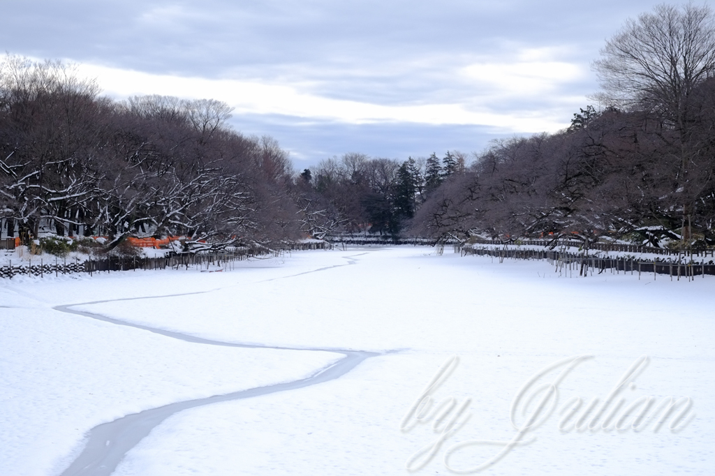 雪の公園