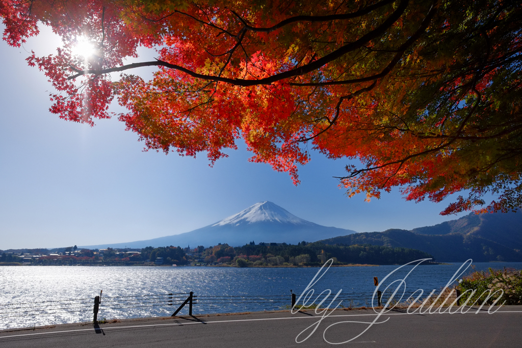 紅葉と富士山