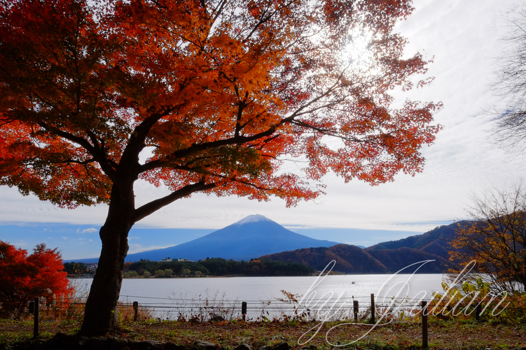 紅葉ツーリング 河口湖　紅葉トンネルにて
