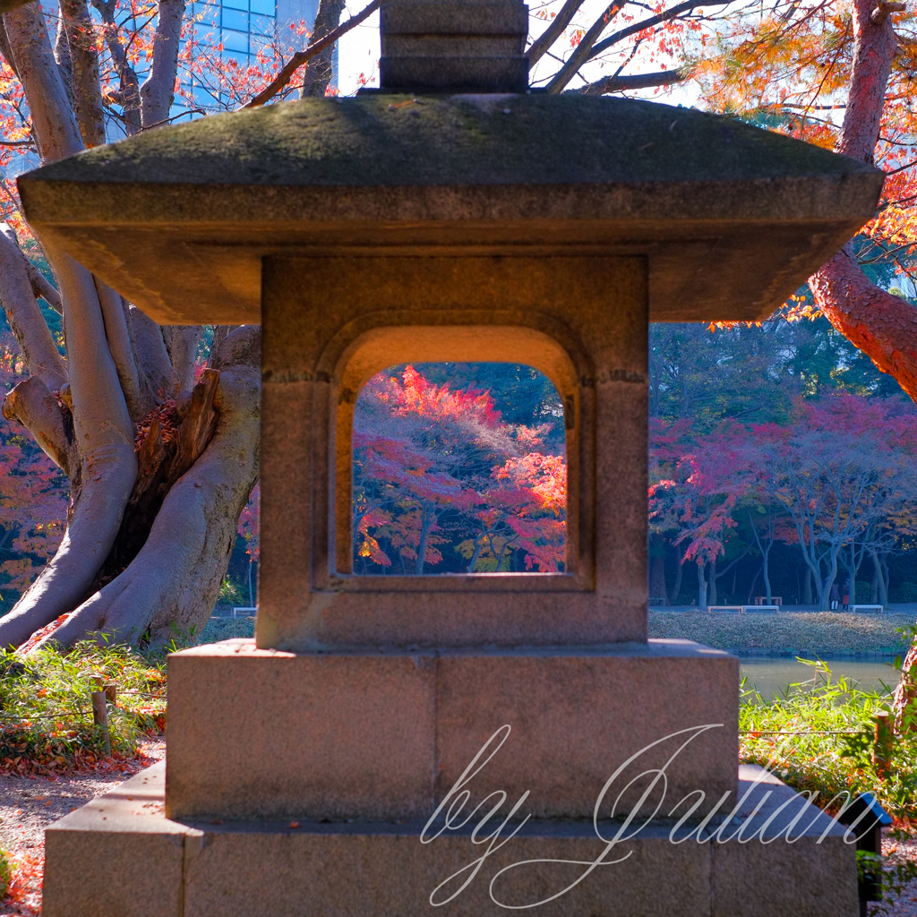 小石川後楽園の紅葉